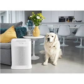 Rowenta Pure Air Genius PU3080