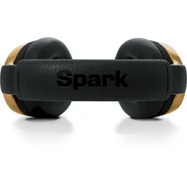 Positive Grid Spark NEO