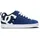 DC Shoes Court Graffik Herren Navy/White 43