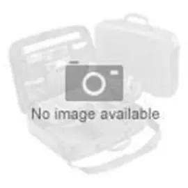 Netgear IPv6 and Multicast Routing UPG (GSM7328FL-10000S)