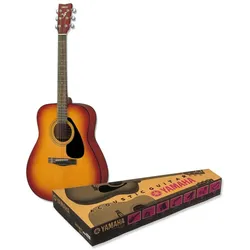 Gitarre YAMAHA GF310PIITBS