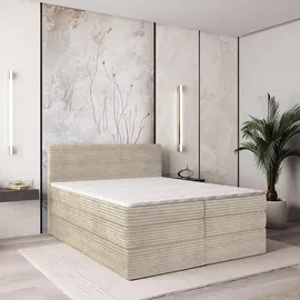 masseno Lunera 160 x 200 cm H2 Creme