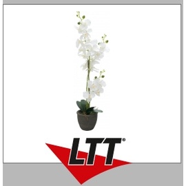 Europalms Orchidee, Kunstpflanze, weiß, 80cm