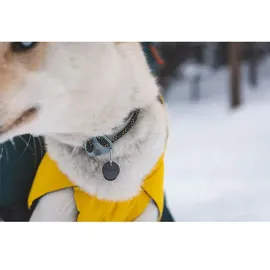 Ruffwear Vert Hundemantel (Größe XS