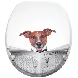 Sanilo WC-Sitz Newspaper Grau