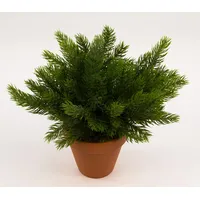 Seidenblumen Roß Tannenbusch 25cm -ohne Topf- DP aus künstlichen