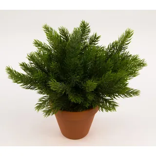 Seidenblumen Roß Tannenbusch 25cm -ohne Topf- DP aus künstlichen Kunststoff-Tannenzweigen Spritzguss 100% PE Kunsttanne