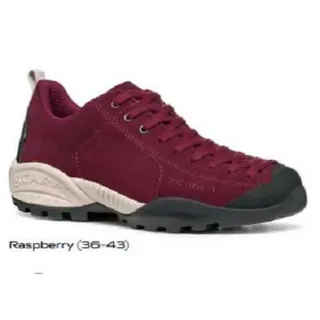 raspberry 38,5