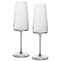 Villeroy & Boch Signature Metrochic Champagner-Gläser 2 St.