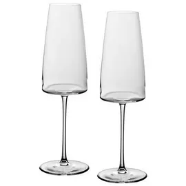 Villeroy & Boch Signature Metrochic Champagner-Gläser 2 St.