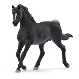 Schleich Horse Club - Araber Hengst (13981)