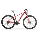 MBM Mountainbike 29 Zoll QUARX