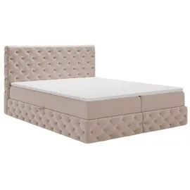 kaiser möbel Chesterfield-Kontinentalbett Luxury Stoff Royal Velvet Dunkelbeige 120x200 cm - Beige
