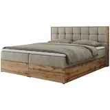 MKS Albero 1 120 x 200 cm H4 Beige