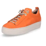 Paul Green 5017