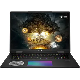 MSI Titan 18 HX A14VIG-069 Intel Core i9-14900HX 96 GB RAM 6 TB SSD RTX 4090
