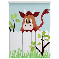 Lichtblick Rollo Klemmfix, 70x150 cm