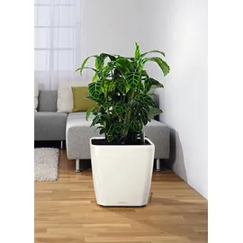 LECHUZA Rolluntersetzer Classico 43 Schwarz Ø 26 cm