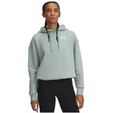 Under Armour Kapuzensweatshirt Silica Green XL
