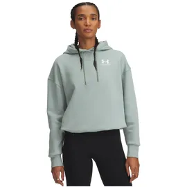 Under Armour Kapuzensweatshirt Silica Green XL