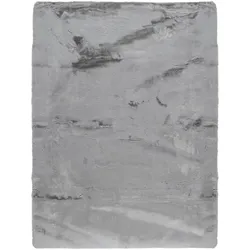 Teppich Tiril 160x220 cm, Silber