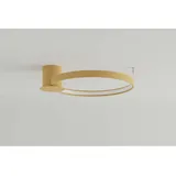 Jiaoguang Lighting Deckenleuchte RIO 55 golden LED 4000K