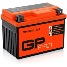 GP-Pro GTX4L-BS 5 Ah
