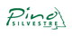 Pino Silvestre