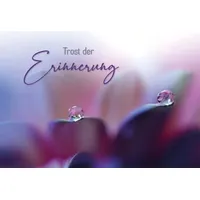 Butzon & Bercker Trost der Erinnerung