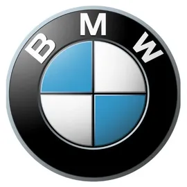BMW M Collection TWS Kopfhörer Schwarz