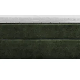 Ruf Boxspringbett Aurelia ¦ grün ¦ Maße (cm): B: 190 H: 114