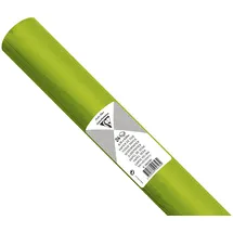 Clairefontaine Seidenpapier 50 x 75 cm 24 Blatt Apfelgrün