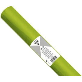 Clairefontaine Seidenpapier 50 x 75 cm 24 Blatt Apfelgrün