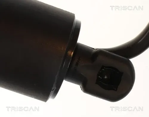 TRISCAN 871014303 für NISSAN