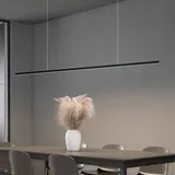 Helestra Loopy Pendelleuchte LED schwarz matt