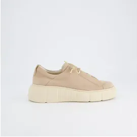 Paul Green Schnürschuhe in antelope / 6.5 UK