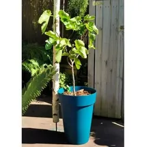 riviera system Riss 53 x 53 cm Blau