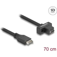 DeLock USB 10Gbps Kabel Typ-E Key A 20 Pin Stecker USB-C BU zum Einbau 0.7m Digital/Daten 0,7 m, 20-polig