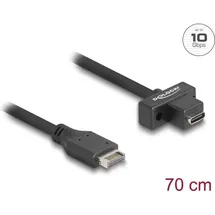 DeLock USB 10Gbps Kabel Typ-E Key A 20 Pin Stecker USB-C BU zum Einbau 0.7m Digital/Daten 0,7 m, 20-polig
