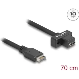 DeLock USB 10Gbps Kabel Typ-E Key A 20 Pin Stecker USB-C BU zum Einbau 0.7m Digital/Daten 0,7 m, 20-polig