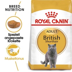 Royal Canin British Shorthair Katzenfutter trocken für Britisch Kurzha