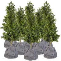 Royal Gardineer 8er-Set Thermo-Topfschutz für Pflanzen, 50x45cm,mit Drainage,anthrazit