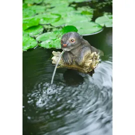 UBBINK Wasserspeier Otter