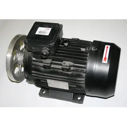 ELMAG D-Motor 4 kW mit KR-Scheibe - 9101607