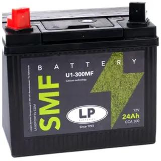 Batterie 12V 24Ah für Rasenmäher Rasentraktor LB U1-300MF