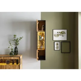 MASSIVMOEBEL24.DE Hängevitrine Starnberg 30 x 30 x 140 cm Beige