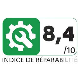 Rowenta Extenso Dry AC4769
