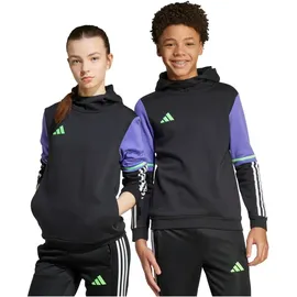 adidas F50 Sweat Hoodie Kinder JY5915 - black/purple rush 164