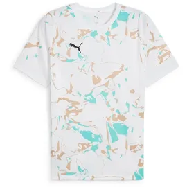 Puma IndividualEARTH DAY Herren T-Shirt, weiß - XXL