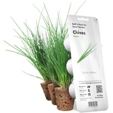 Click & Grow Substratkapsel Schnittlauch, Nachfüllpackung für Smart Garden, 3er-Set